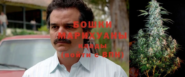 бошки Бронницы
