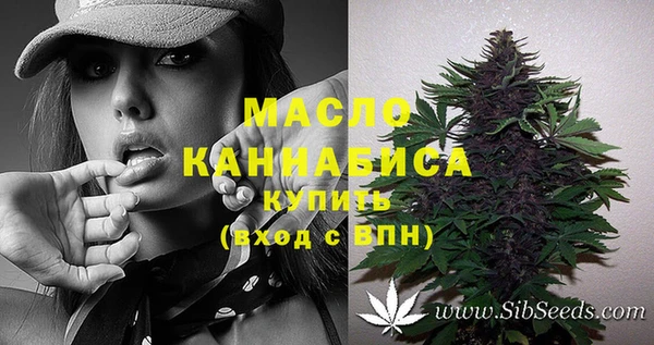 бошки Бронницы
