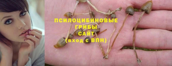 бошки Бронницы