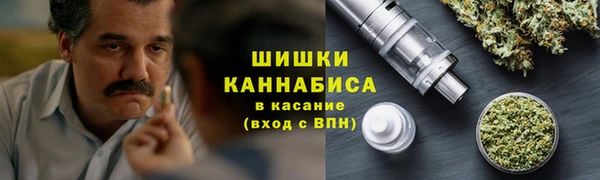 бошки Бронницы