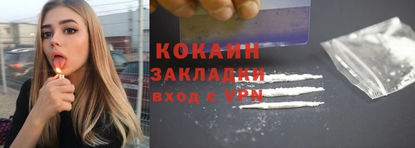 бошки Бронницы