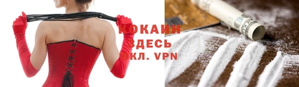 бошки Бронницы