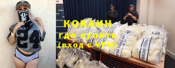 бошки Бронницы