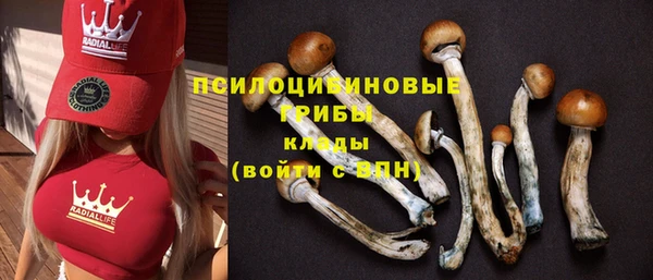 дмт Бугульма