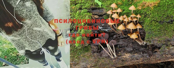 бошки Бронницы