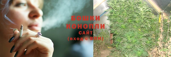 бошки Бронницы