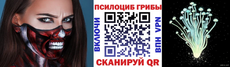 Галлюциногенные грибы GOLDEN TEACHER  где найти наркотики  Давлеканово 